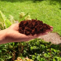 Czipsy kokosowe - naturalne podłoże 5l - Biovita foto