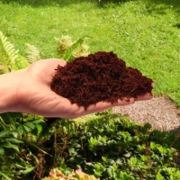 Włókno kokosowe 5 l - Biovita foto