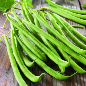 Fasola krzewiasta 'Modesto' - Nasiona - Kiepenkerl