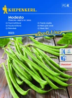 Fasola krzewiasta Modesto - Nasiona - Kiepenkerl przód