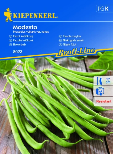 Fasola krzewiasta Modesto - Nasiona - Kiepenkerl przód