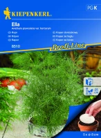 Koper doniczkowy Ella - nasiona na krążku - Kiepenkerl przód