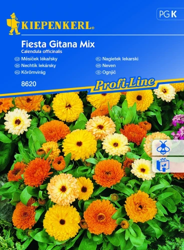 Nagietek lekarski Fiesta Gitana Mix - Nasiona - Kiepenkerl przód