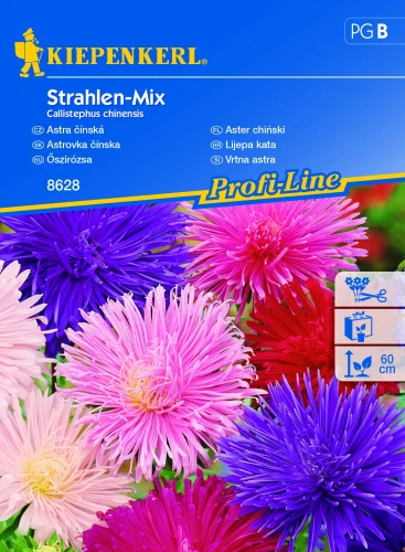 Aster chiński Strahlen-Mix - Nasiona - Kiepenkerl przód