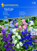 Dzwonek Pracht-Mix - Nasiona - Kiepenkerl przód