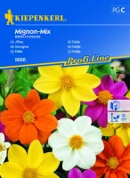 Dalia Mignon-Mix - Nasiona - Kiepenkerl przód
