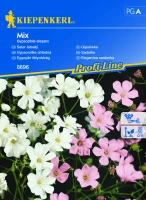 Gipsówka - Mix  Nasiona - Kiepenkerl przód