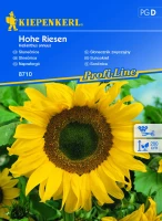 Słonecznik zwyczajny Hohe Riesen - Nasiona - Kiepenkerl przód