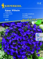 Lobelia przylądkowa Kaiser Wilhelm - Nasiona - Kiepenkerl przód