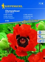 Mak wschodni Olympiafeuer - Nasiona - Kiepenkerl przód