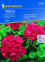 Pelargonia rabatowa Orbit rot F1 - Nasiona - Kiepenkerl przód
