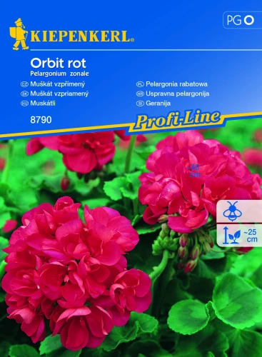 Pelargonia rabatowa Orbit rot F1 - Nasiona - Kiepenkerl przód