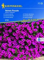 Petunia zwisająca Velvet Purple F1 - Nasiona - Kiepenkerl przód