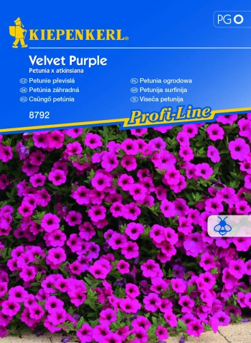 Petunia zwisająca Velvet Purple F1 - Nasiona - Kiepenkerl przód