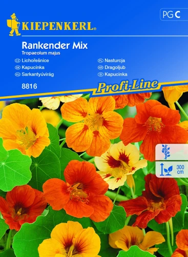 Nasturcja Rankender - Mix Nasion - Kiepenkerl przód