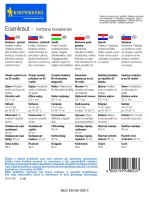 Werbena patagońska - Nasiona - Kiepenkerl tył