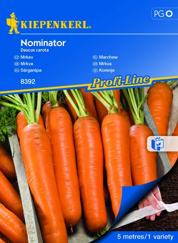 Marchew Nominator F1 - Nasiona na taśmie - Kiepenkerl przód