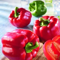 Papryka Bendigo F1 – Nasiona Otoczkowane – Kiepenkerl