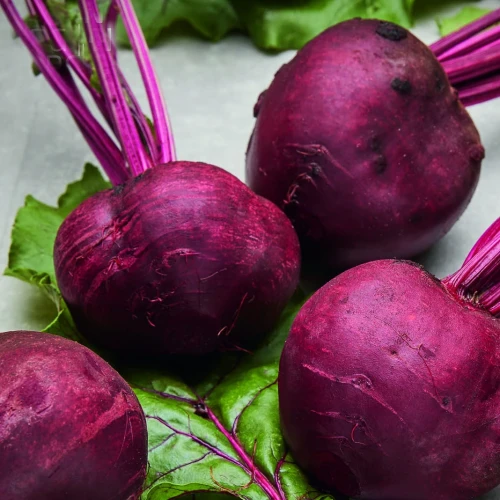 Burak Pablo F1 - Nasiona Otoczkowane - Kiepenkerl