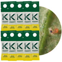 dobroczynek kalifornijski zestaw 10szt (1).png