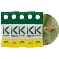 dobroczynek kalifornijski zestaw 5szt.png