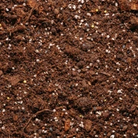 Podłoże do strelicji - bigos 5 L Urban Jungle foto 2