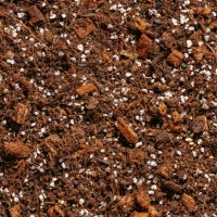 Podłoże do aglaonemy, diffenbachii, caladium 5 L - Urban Jungle foto 2