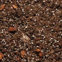 Podłoże do palmy, cykasa, juki, draceny, fikusa - bigos 5 l Urban Jungle foto 2