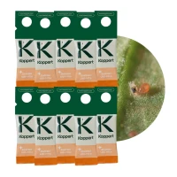 Dobroczynek Swirski 10 szt