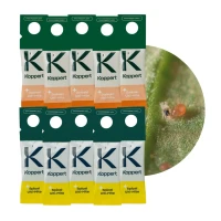 Zestaw Dobroczynek Kalifornisjki 5 szt + Dobroczynek Swirski 5 szt