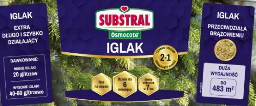 IGLAK ROZKŁADÓWKA PRZÓD.png