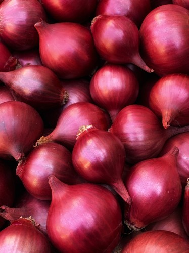 CEBULA DYMKA ZIMUJĄCA AKADO.jpg