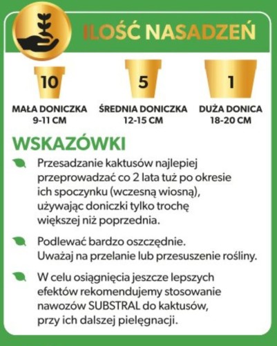 Kaktus 1.jpg