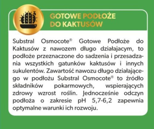Kaktus 4.jpg