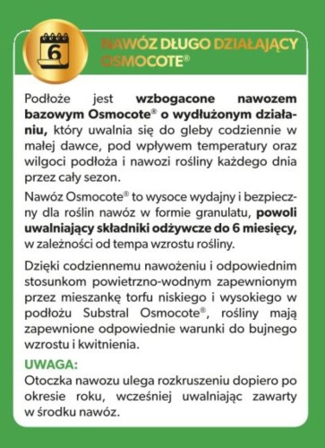 Kaktus 5.jpg