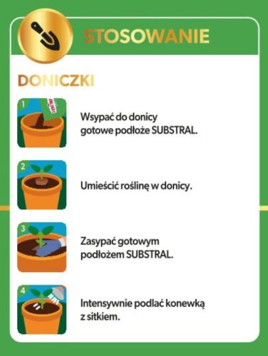 Kaktus 6.jpg