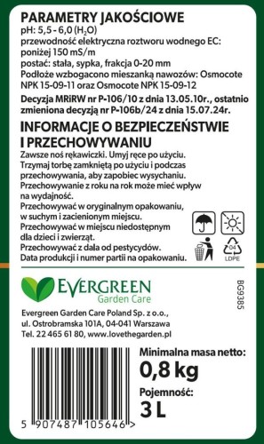 Paproć 3.jpg
