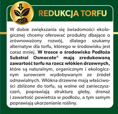 Paproć 7.jpg