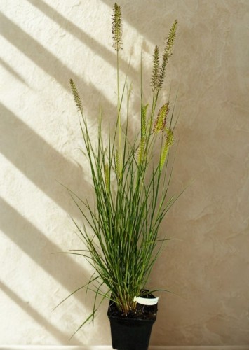 106164 PRZEROBIONE.jpg