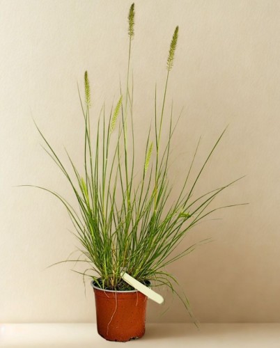 106165 PRZEROBIONE.jpg