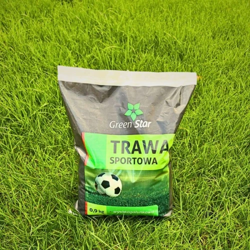 Trawa sportowa 4.jpg