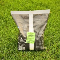 Trawa sportowa 5.jpg