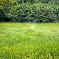 Zraszacz obrotowy luz 2.jpg