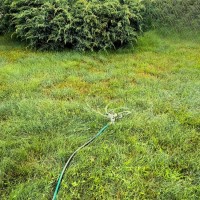 Zraszacz 3-ramienny 4.jpg