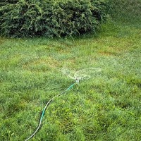 Zraszacz 3-ramienny 5.jpg