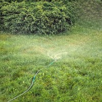 Zraszacz 3-ramienny 7.jpg