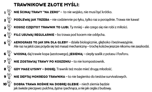 AERATOR 250 M2 TRAWNIKOWE ZŁOTE MYŚLI.jpg