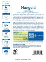 Boćwina Bright Lights, PowerSaat tył.jpg