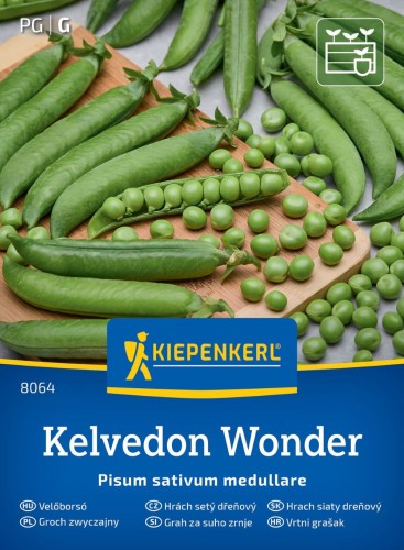 Groch siewny łuskowy Kelvedon Wonder przód.jpg
