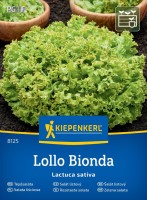Sałata liściowa Lollo Bionda przód.jpg